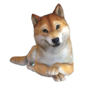 Поддерживающие занятия с психологом-экспертом, 5 занятий